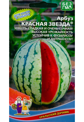 Vattenmelon "Krasnaya Zvezda"