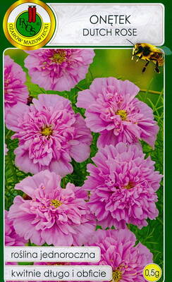 Сosmea "Dutch Rose" (garden cosmos)