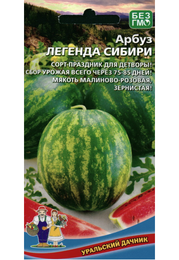 Watermelon "Legenda Sibiri"