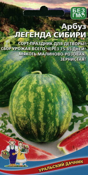 Watermelon "Legenda Sibiri"