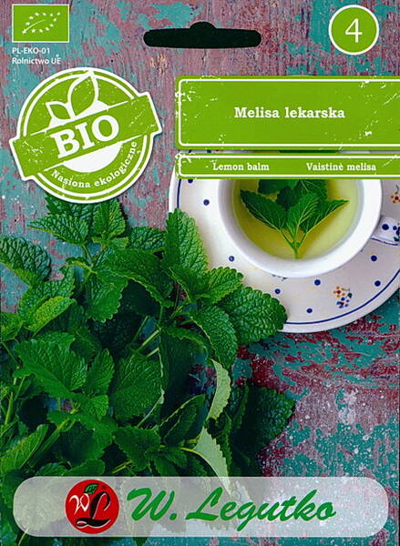 Lemon balm (balm mint, dropsy plant)