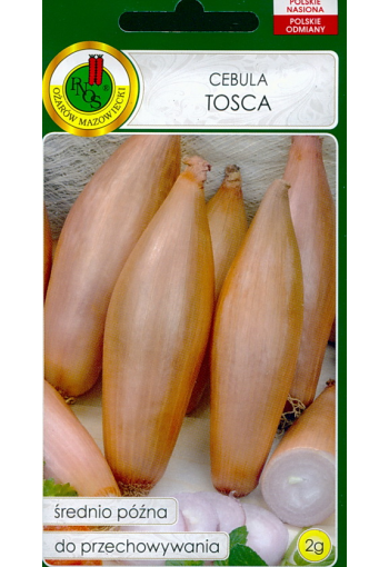 Onion "Tosca"