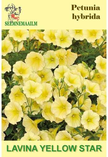 Petunia "Lavina Yellow Star" F1