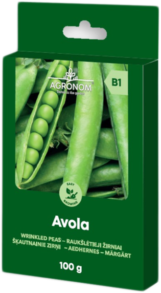 Herne ''Avola'' (100 g)