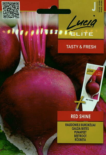 Beetroot "Red Shine"