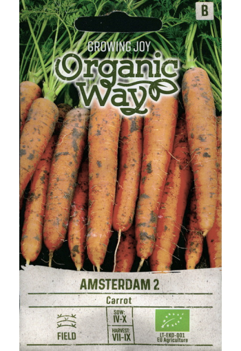 Carrot "Amsterdam 2"