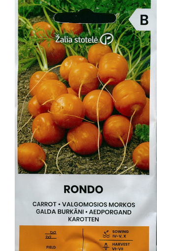 Carrot "Rondo"