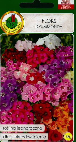 Phlox "Drummondii" (low mix)