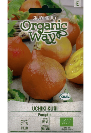 Pumpkin "Uchiki Kuri"