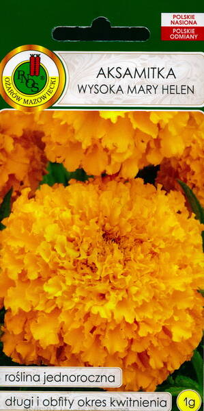 African marigold "Mary Helen" 