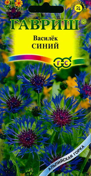 Василёк горный "Синий" (Centaurea montana)