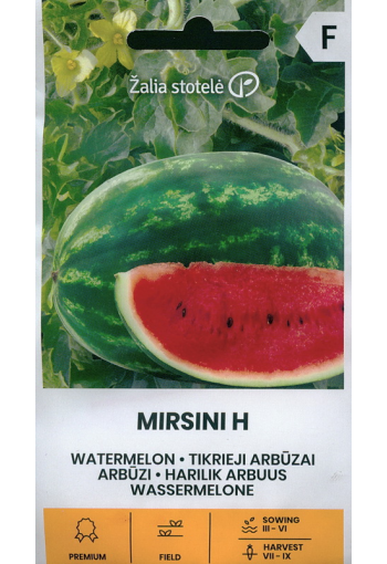 Arbuus "Mirsini" F1