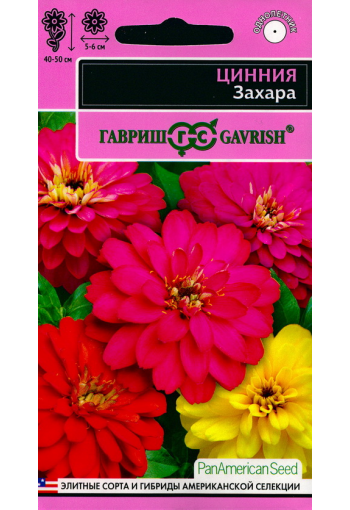 Zinnia marylandica "Zahara" (mix)