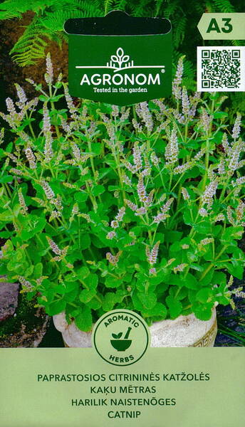 Catmint "Citriodora"