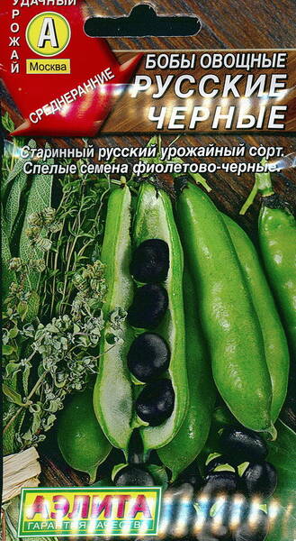 Broad beans "Chornye russkye"