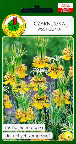 Yellow fennelflower "Transformer" (nigella)