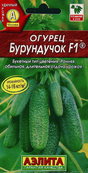 Gherkin "Burunduchok" F1