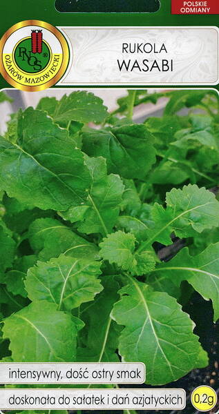 Mursenap "Wasabi"