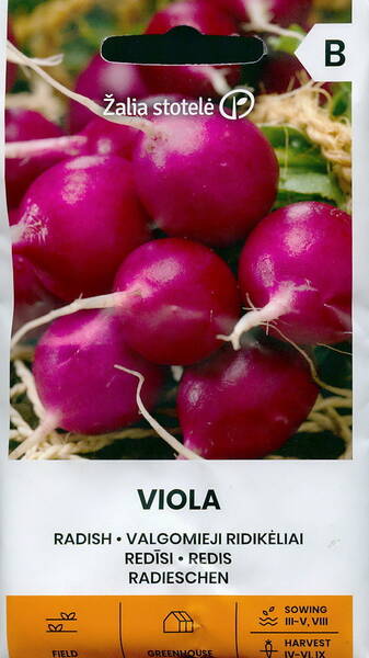 Rädisa "Viola"