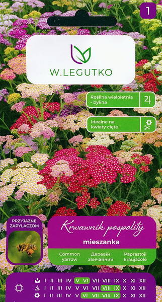 Yarrow "Thousand weed" (colour mix) (milfoil, nosebleed, woundwort, staunchweed)