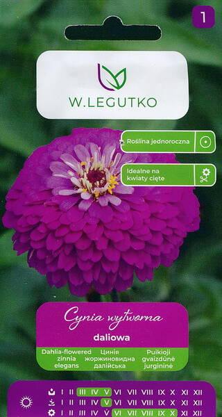 Pruudisõlg "Violet Queen" 