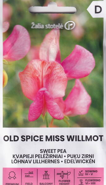 Lillhernes lõhnav "Old Spice Miss Willmot"