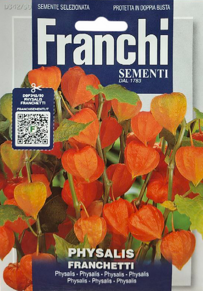 Физалис декоративный "Китайские фонарики" (Physalis alkekengi var. franchetii)