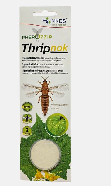 Bait for the destruction of thrips "Thripnok"
