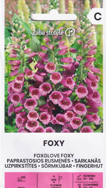 Fingerborgsblomma "Foxy"
