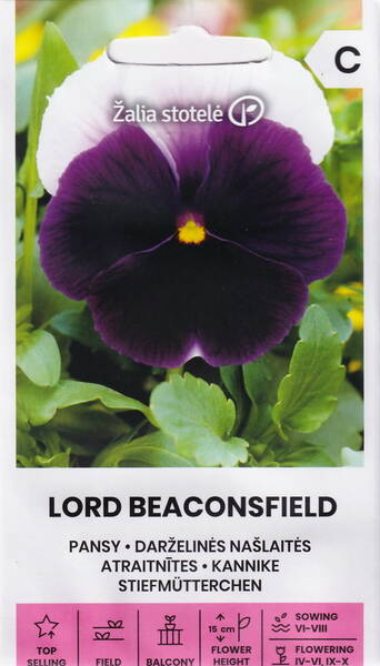 Tarhaorvokki "Lord Beaconsfield"