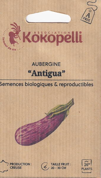 Eggplant "Antigua"