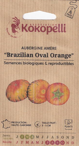 Etioopia baklažaan "Brazilian Oval Orange" (Etioopia pommu)