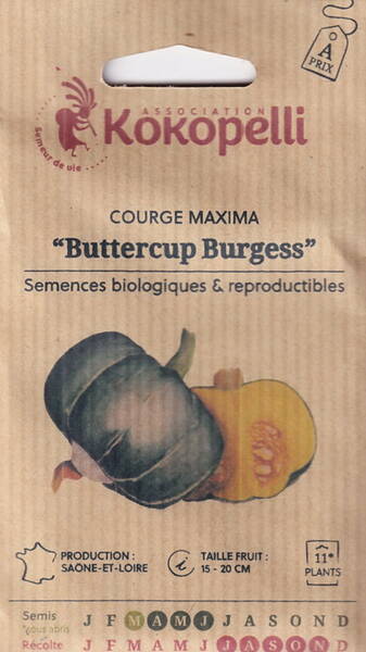 Kõrvits "Buttercup Burgess"