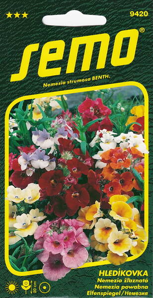Nemesia "Carnaval" mix