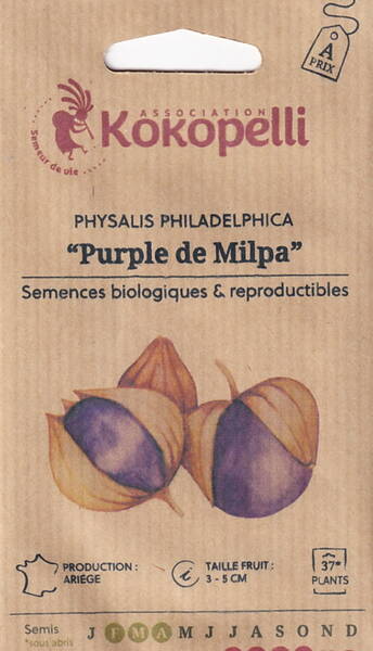 Tomatille "Purple de Milpa" (peasalis) Tomatille "Purple de Milpa" (peasalis)