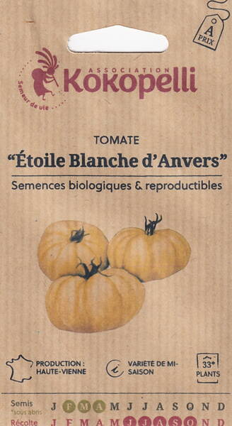 Tomato "Étoile Blanche d’Anvers"