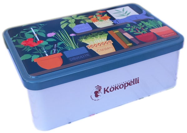 Подарочный набор семян "Радуга растений на балконе" Подарочный набор семян "Радуга растений на балконе"