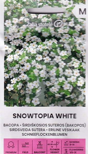 Бакопа красивая "Сноутопия белая" (Сутера) Sutera cordata