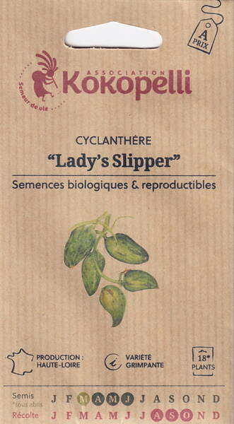 Fönstergurka "Achocha" (Inkagurka)