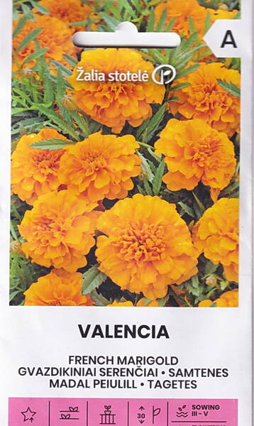 Marigold "Valencia"