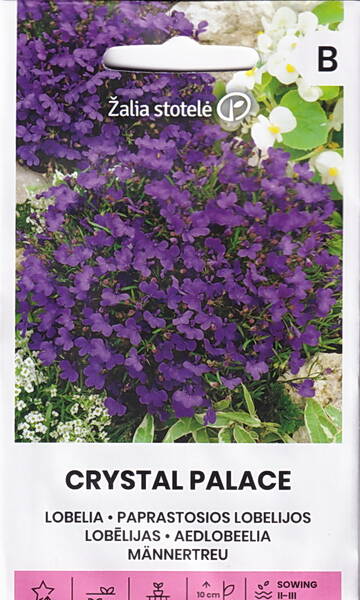 Lobelia "Crystal Palace"