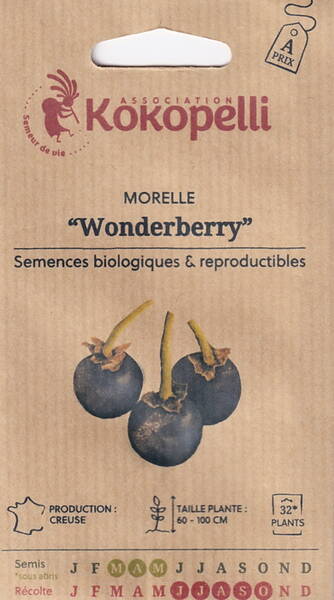 Солнечная ягода Санберри "Wonderberry" (Solanum burbankii)