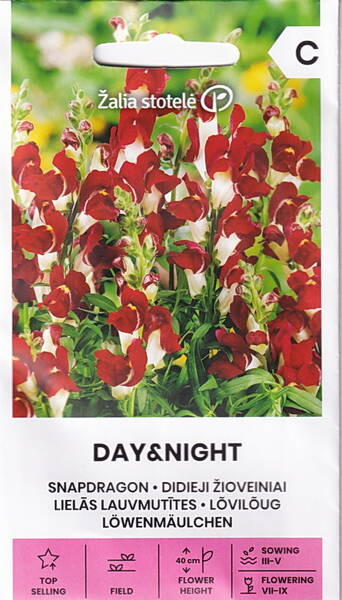 Lõvilõug "Day and Night"