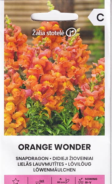 Lõvilõug kõrge "Orange Wonder"