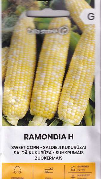 Sokerimaissi "Ramondia" F1