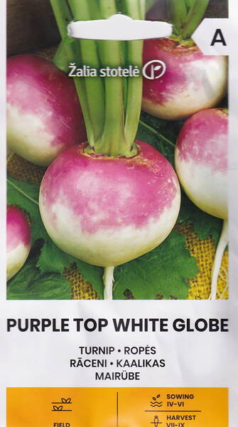 Lanttu "Purple Top White Globe"