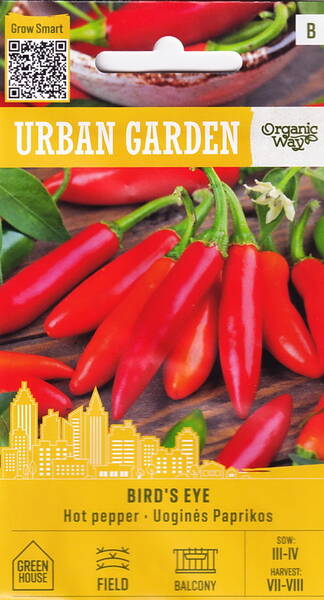 Chilipaprika "Bird`s Eye" (mini chili)