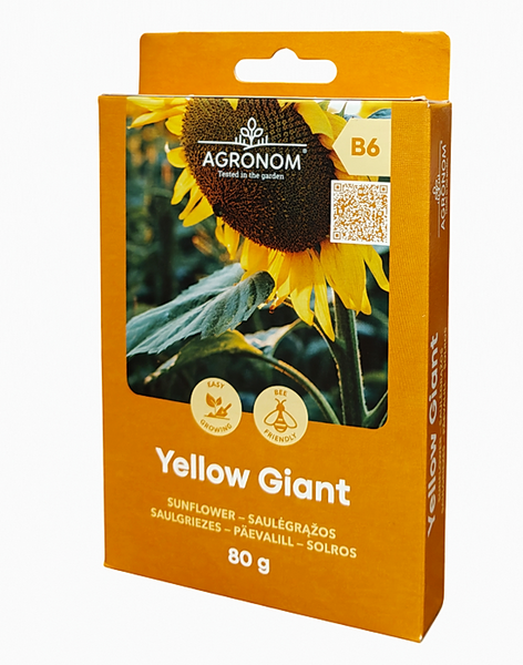 Sunflower "Yellow Giant"