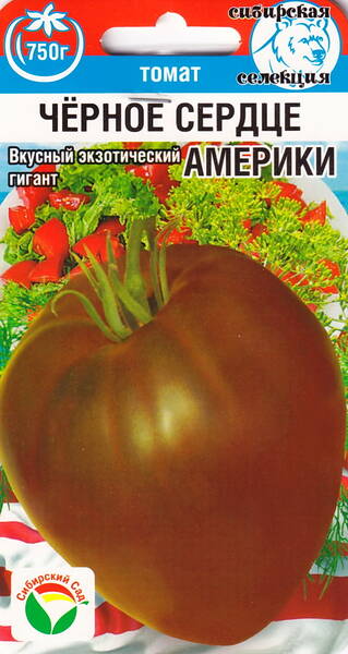 Томат "Чёрное Сердце Америки"