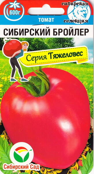 Tomat "Siberian Broiler"